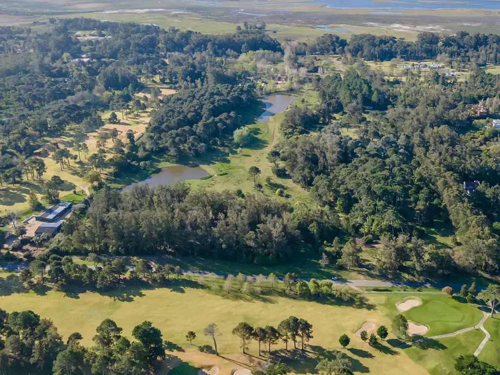 Aura Punta del Este