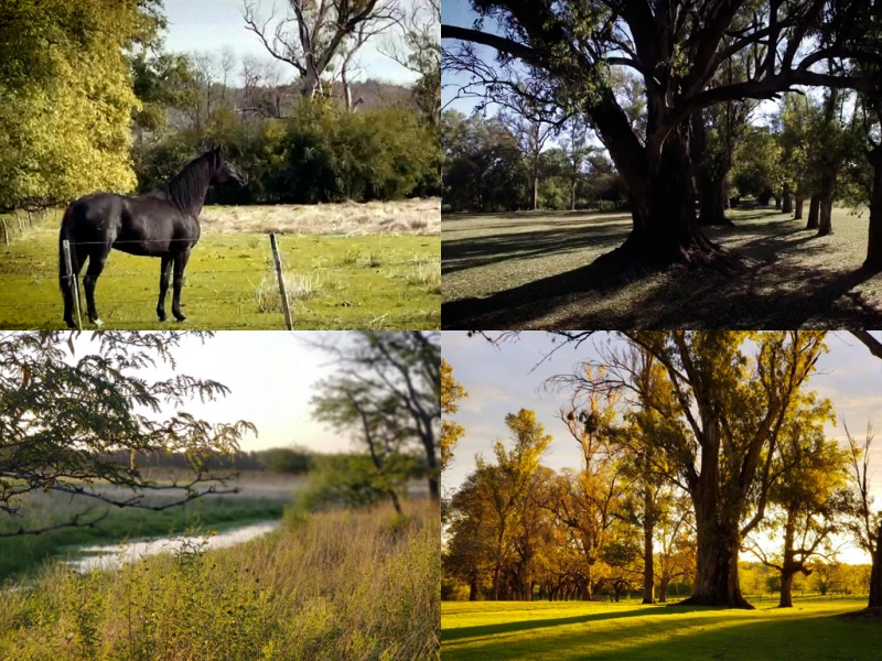 Foto de Estancia Carabassa